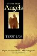 The Truth About Angels PB - Terry Law